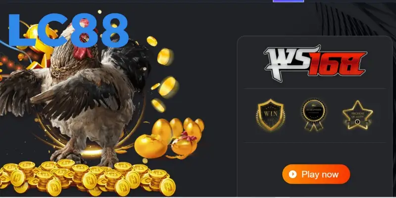 Các bước tham gia đặt cược tại chuyên mục chọi gà