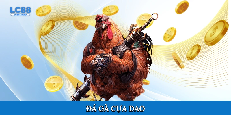 Đá gà cựa dao