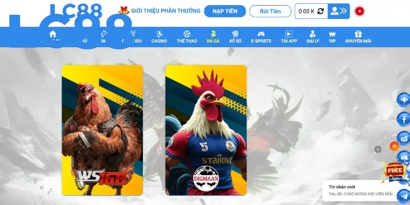 Giới thiệu sảnh chọi gà WS168