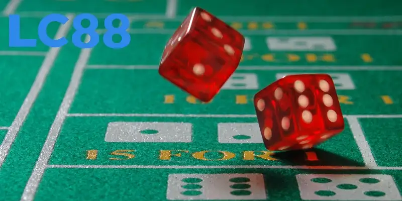 Nghiên cứu quan sát cược hợp lý