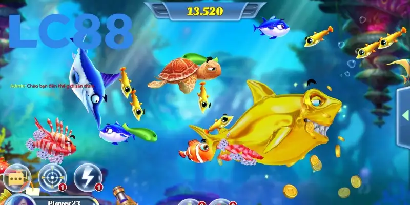 Tìm hiểu 4 giải pháp hạn chế săn cá lậu